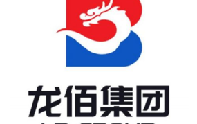 龙佰集团,引领行业发展的多元化新材料巨头