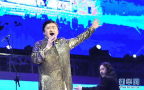 刘欢演唱会,跨越时代的音乐传奇，经典再现