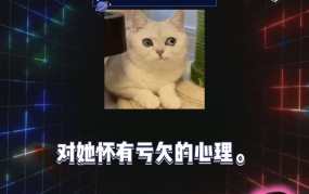 2024娱乐圈八卦吃瓜,八卦吃瓜盘点,明星秘闻大揭秘