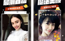 娱乐直播段子,娱乐段子带你领略网络幽默魅力