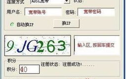 在家上网赚钱的项目,轻松实现财务自由的新选择