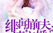 苏黎陆宴初最新章节免费阅读,情感纠葛再起，命运之轮即将转动！