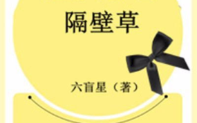 娱乐圈文长篇小说推荐,娱乐圈文长篇小说，带你领略璀璨星河