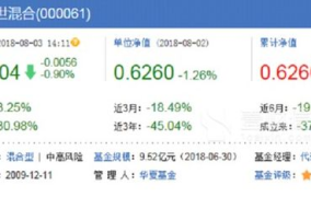 华夏回报二号基金净值,投资策略与业绩回顾”