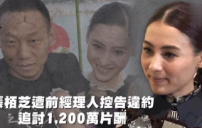 娱乐吃瓜音乐是什么,盘点那些让人笑中带泪的流行旋律